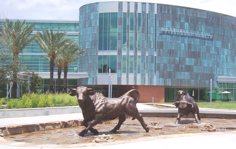 florida universities remove sociology from general education courses