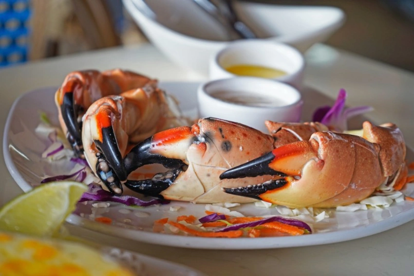 Florida Stone Crab Claws dining
