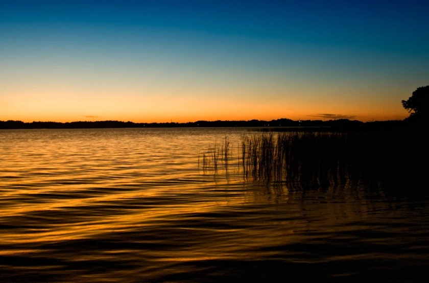 Lake Tarpon at Sunset picture